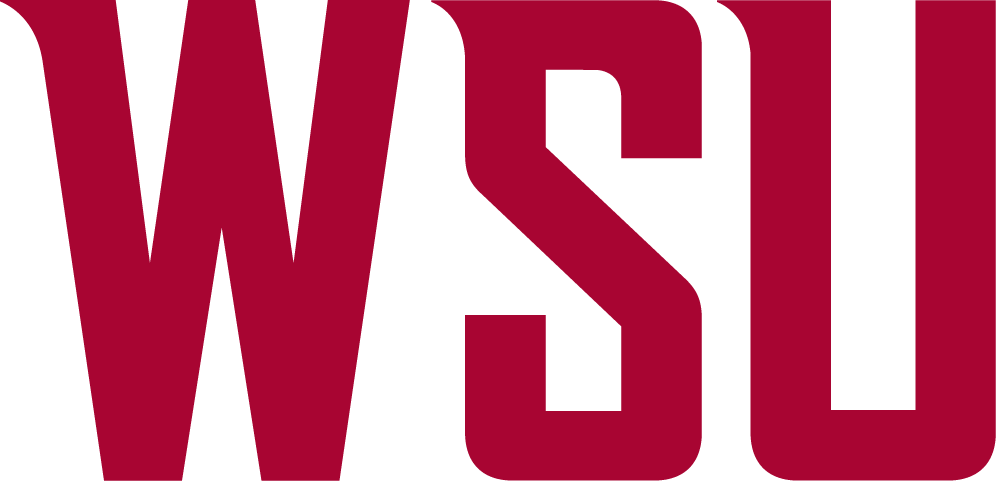 Washington State Cougars 2011-Pres Wordmark Logo v2 iron on transfers for fabric